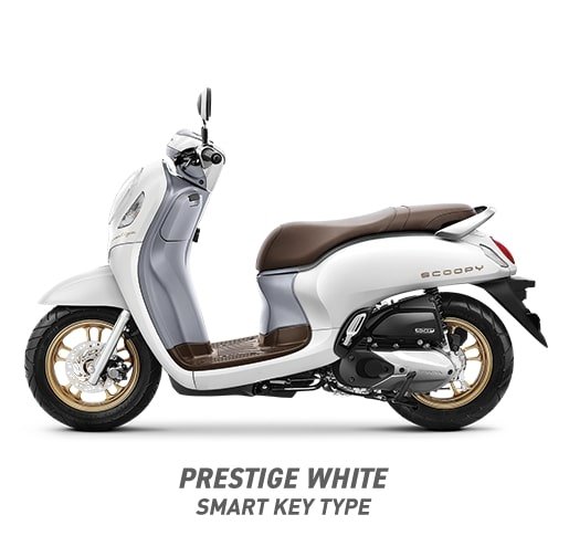 SCOOPY SMARTKEY